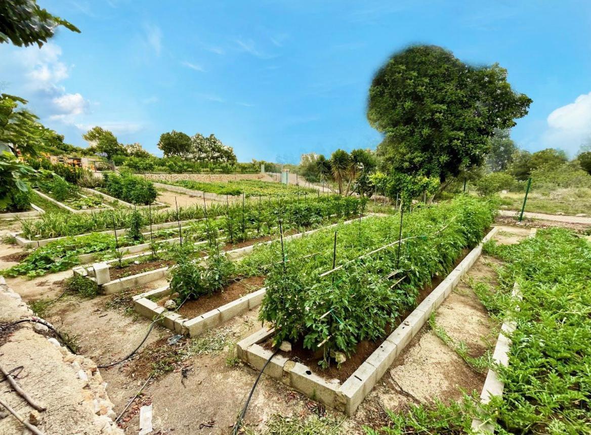 Alojamiento Can Alegre Villa El Perello  Ngoại thất bức ảnh